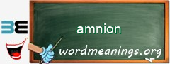 WordMeaning blackboard for amnion